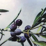 Anais Uma - Anuario 2016-2017