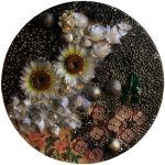 Anna Tamayo - Anuario 2025