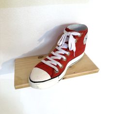 CONVERS – FUSTA DE FAIG-