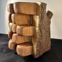 INTERIORS – FUSTA D’ ALZINA-