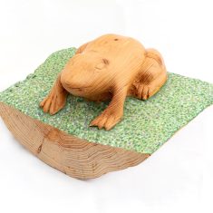 GRANOTA – FUSTA DE CEDRE-