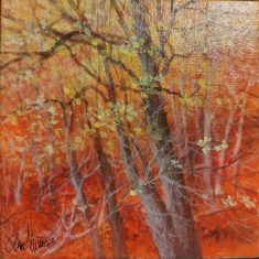 BOSQUE EN OTOÑO