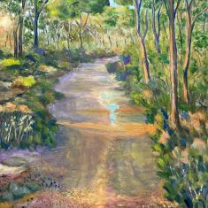 CAMÍ DEL PINAR