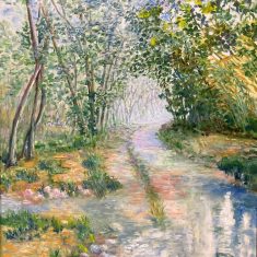 CAMÍ DEL RIU